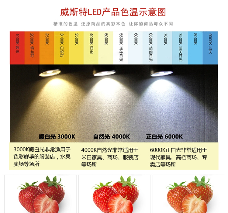 嵌入式天花射燈市場(chǎng)行情分析 深圳市威斯特?zé)麸梼r(jià)格走勢(shì)與生產(chǎn)優(yōu)勢(shì)
